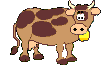 Benutzeravatar