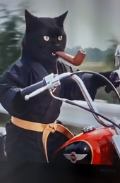 Benutzeravatar