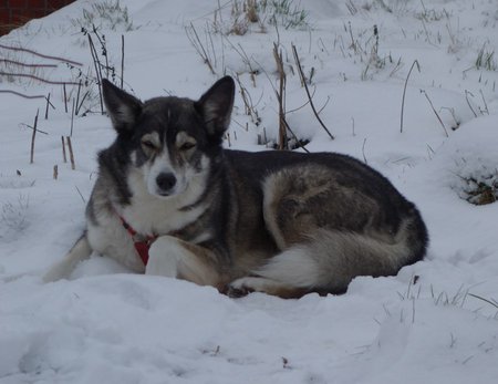 lissy_winter1.jpg