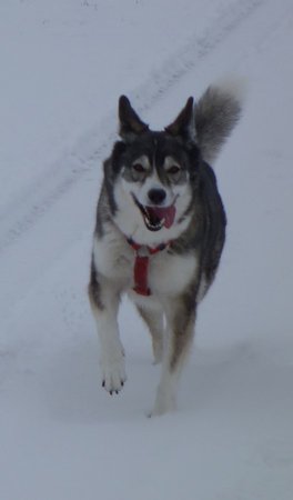 lissy_winter2.jpg