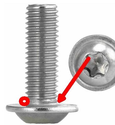 Torx.jpg