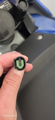 stecker.jpg