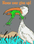 Benutzeravatar
